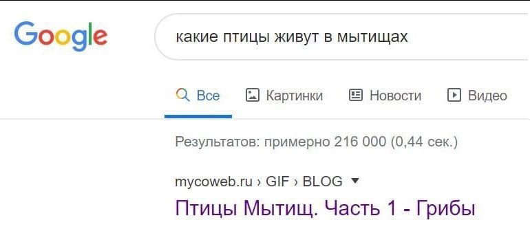 какие птицы живут в мытищах Google О Все Картинки Новости Видео Результатов: примерно 216 000 (0,44 сек.) mycoweb.ru GIF» BLOG Птицы Мытищ. Часть 1 Грибы