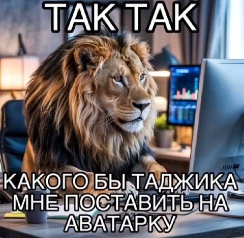 ТАК ТАК в? КАКОГО БЫ; АДЖИКА. ОСТАВИТЬ НА» АВАТАРКУ