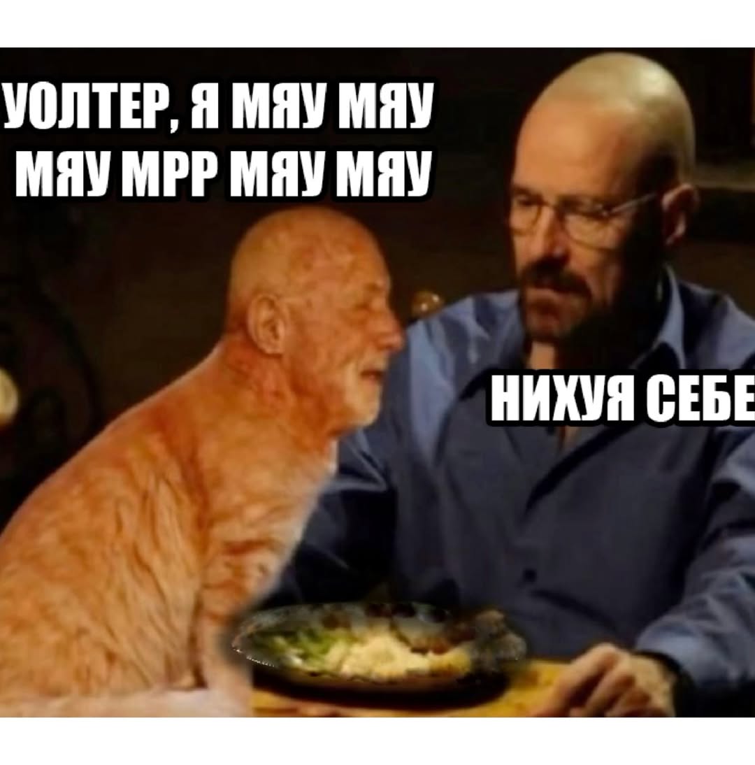УОЛТЕР, Я МЯУ МЯУ МЯУ MPP МЯУ MAY НИХУЯ СЕБЕ