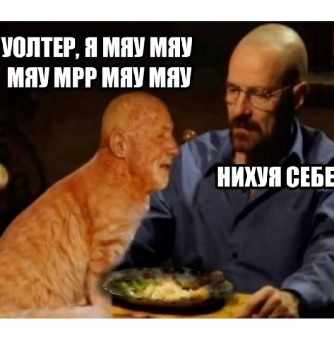УОЛТЕР, Я МЯУ МЯУ МЯУ MPP МЯУ MAY НИХУЯ СЕБЕ