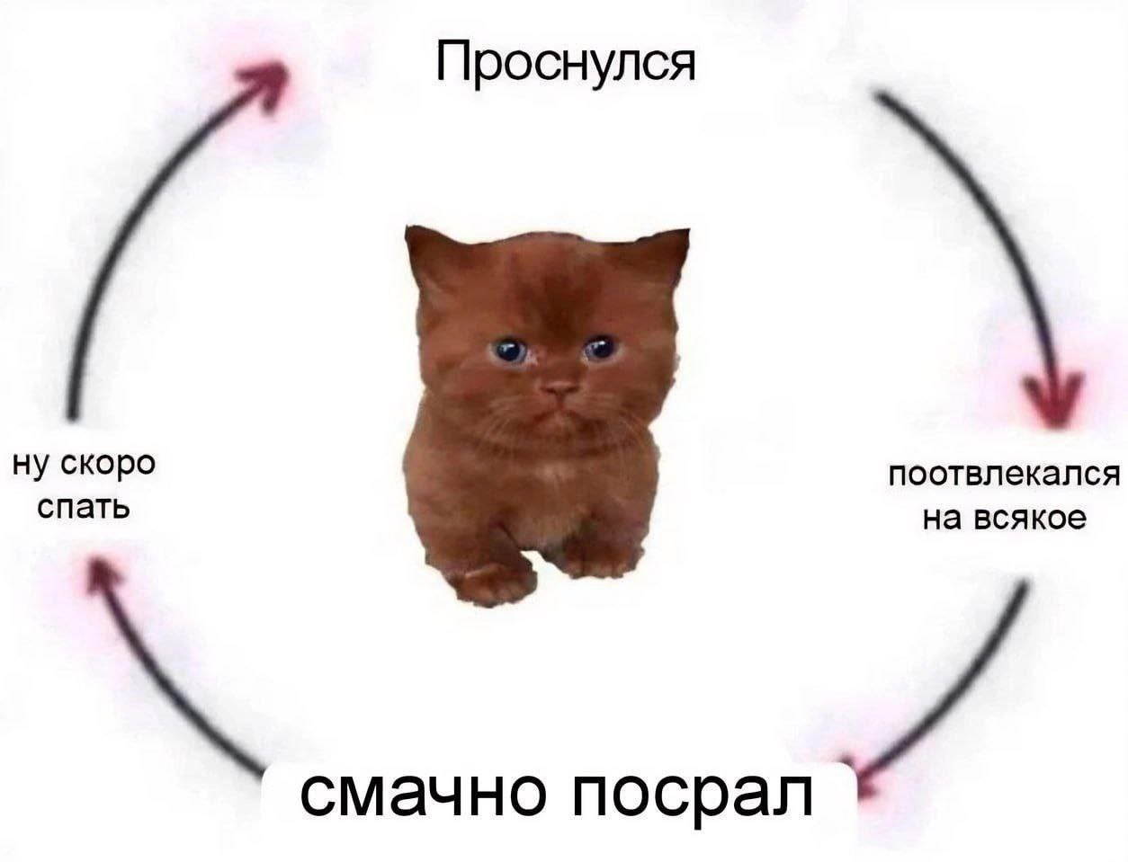 Проснулся ну скоро спать поотвлекался на всякое смачно посрал