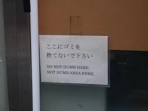 NOT DUMB НЕВЕ. NOT DUMB AREA HERE