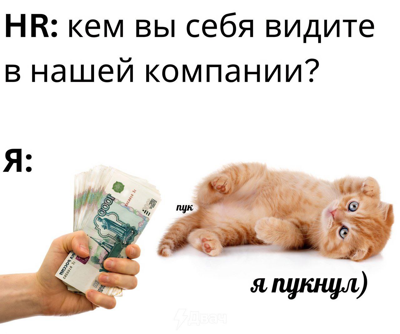 кем вы себя видите в нашей компании? Я: nye 2) я пукнул)