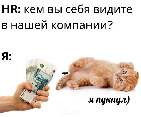 кем вы себя видите в нашей компании? Я: nye 2) я пукнул)