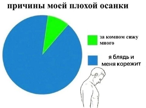 причины моей плохой осанки за компом сижу много я блядь и меня корежит А
