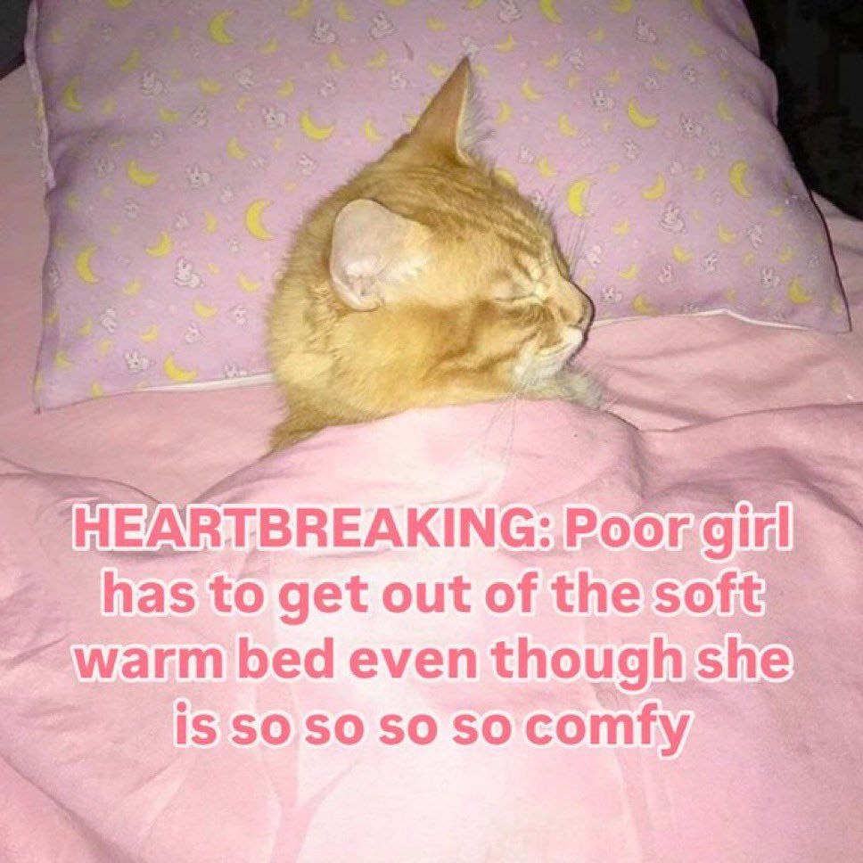 has to get out of the soft) bed even though she} is soso so socomfy