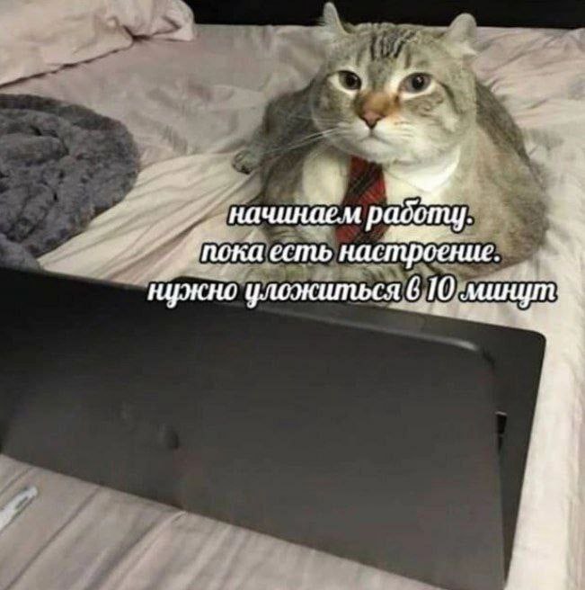 начинаем пока есть настроение. нужно уложиться 6 10
