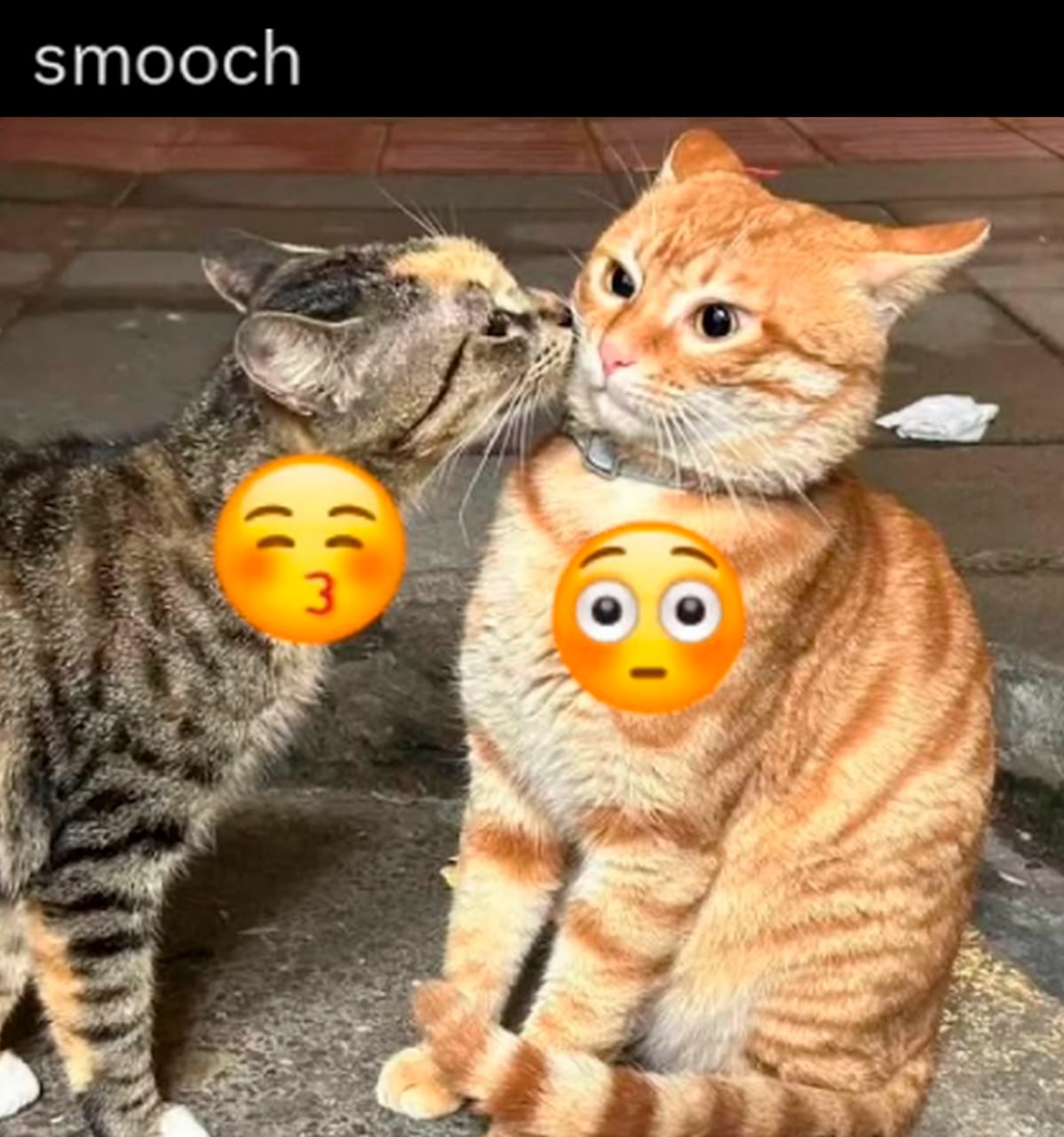 smooch