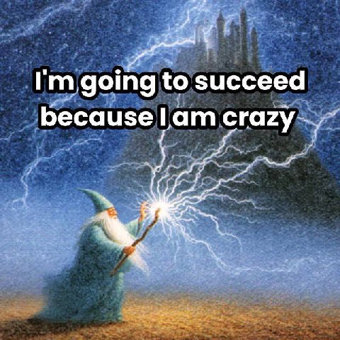 to succeed because crazy