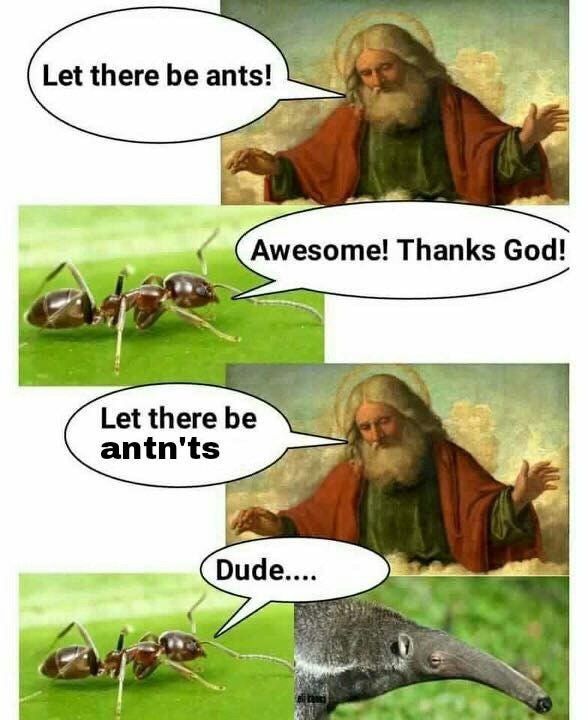Let there be ants! Thanks God! Let there be antn'ts a