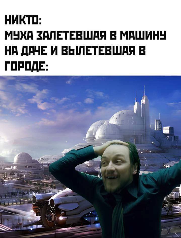 НИКТО: МУХА ЗАЛЕТЕВШАЯ В МАШИНУ НА ДАЧЕ И ВЫЛЕТЕВШАЯ В ГОРОДЕ: a