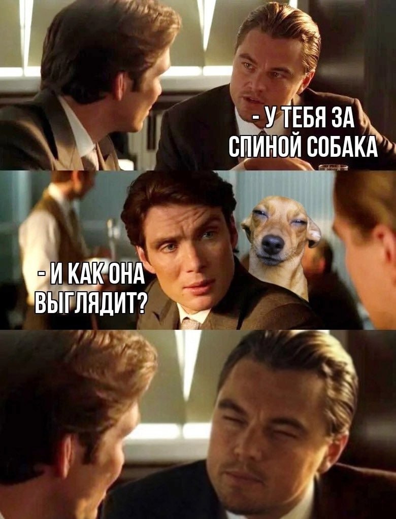 -У ЗА\ СПИНОЙ СОБАКА a ЫГЛЯДИТ?