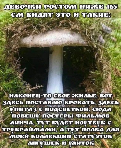 РОСТОМ видят этои ТАКИЕ: ЖИЛЬЕ, кот ЗДЕСЬ ПОСТАКЛЮ КРОКАТЬ, ЗДЕСЬ с NOACKETKOH, СЮДА ПОБЕШУ ПОСТЕРЫ PHABMOE линча. тут BYAET HOYTBYK с TPYKPAHMAMH, ТУТ ПОЛКА AAA МОЕЙ КОЛЛЕКЦИИ лягушек и улиток