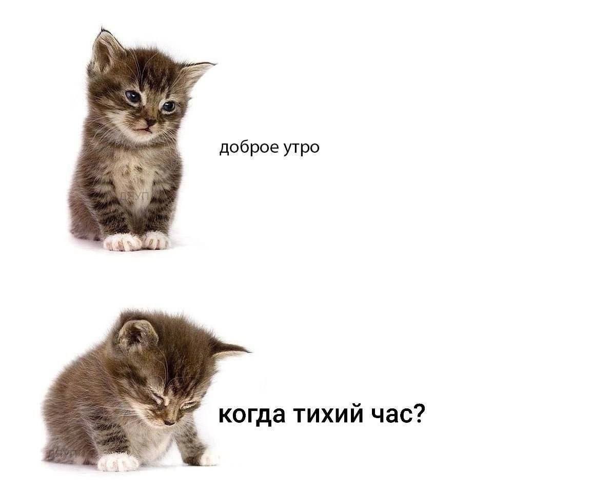 доброе утро когда тихий час?