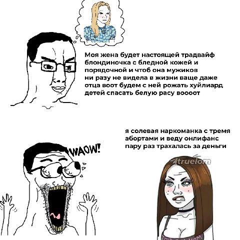 о Моя жена будет настоящей традвайф блондиночка с бледной кожей и порядочной и чтоб она мужиков ни разу не видела в жизни ваще даже отца воот будем с ней рожать хуйлиард детей спасать белую расу воооо