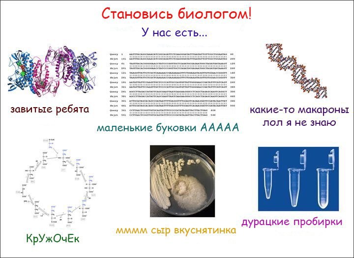 Становись биологом! У нас есть... у“ завитые ребята какие-то макароны лол я не знаю маленькие буковки ААААА дурацкие пробирки мммм сыр вкуснятинка КрУжОчЕк