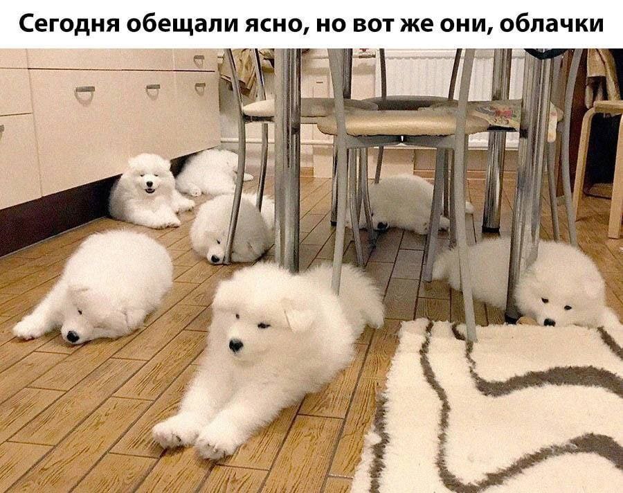 Сегодня обещали ясно, но вот же они, облачки 4 i a A 577