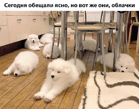 Сегодня обещали ясно, но вот же они, облачки 4 i a A 577