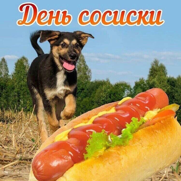 сосиски 55, we an