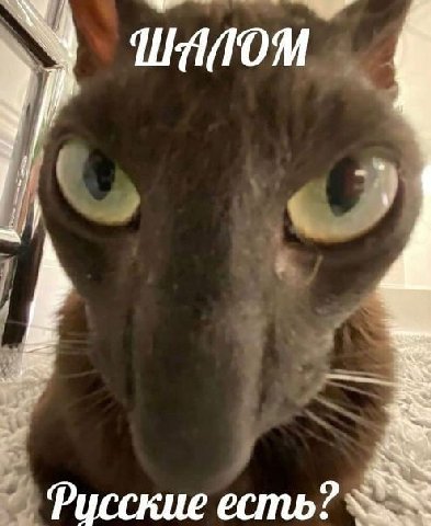 Фусские есть?