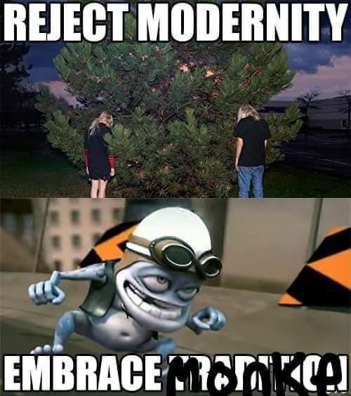 REJECT MODERNITY EMBRACE