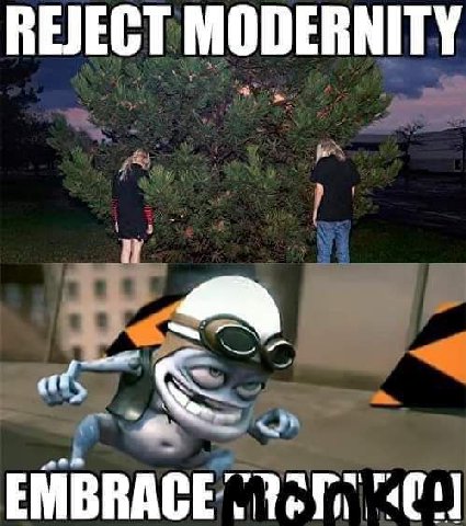 REJECT MODERNITY EMBRACE