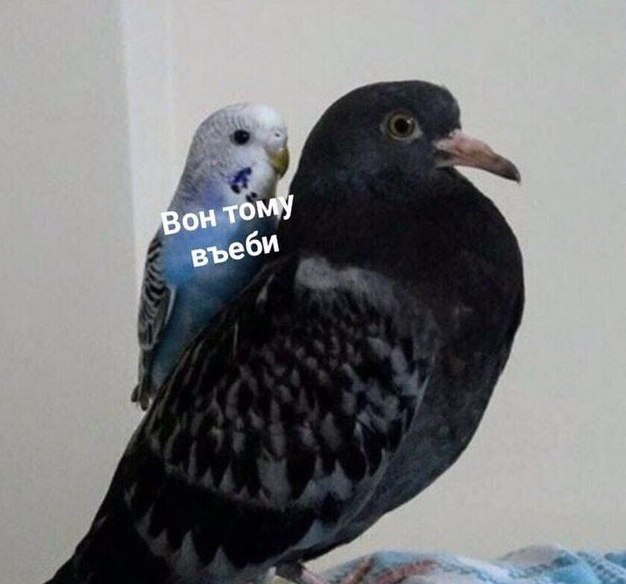 Bor тому въеб\