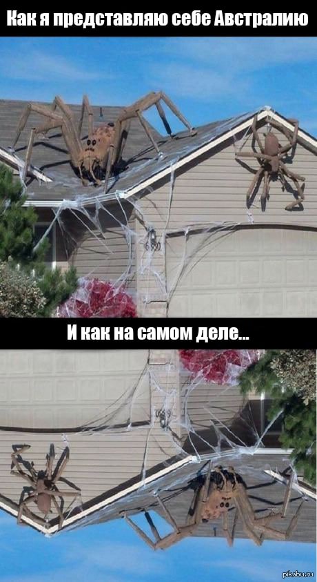 представляю себе Австралию Инак на самом деле...