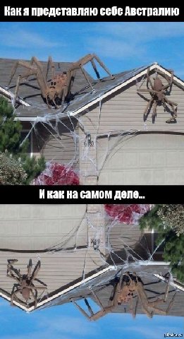 представляю себе Австралию Инак на самом деле...