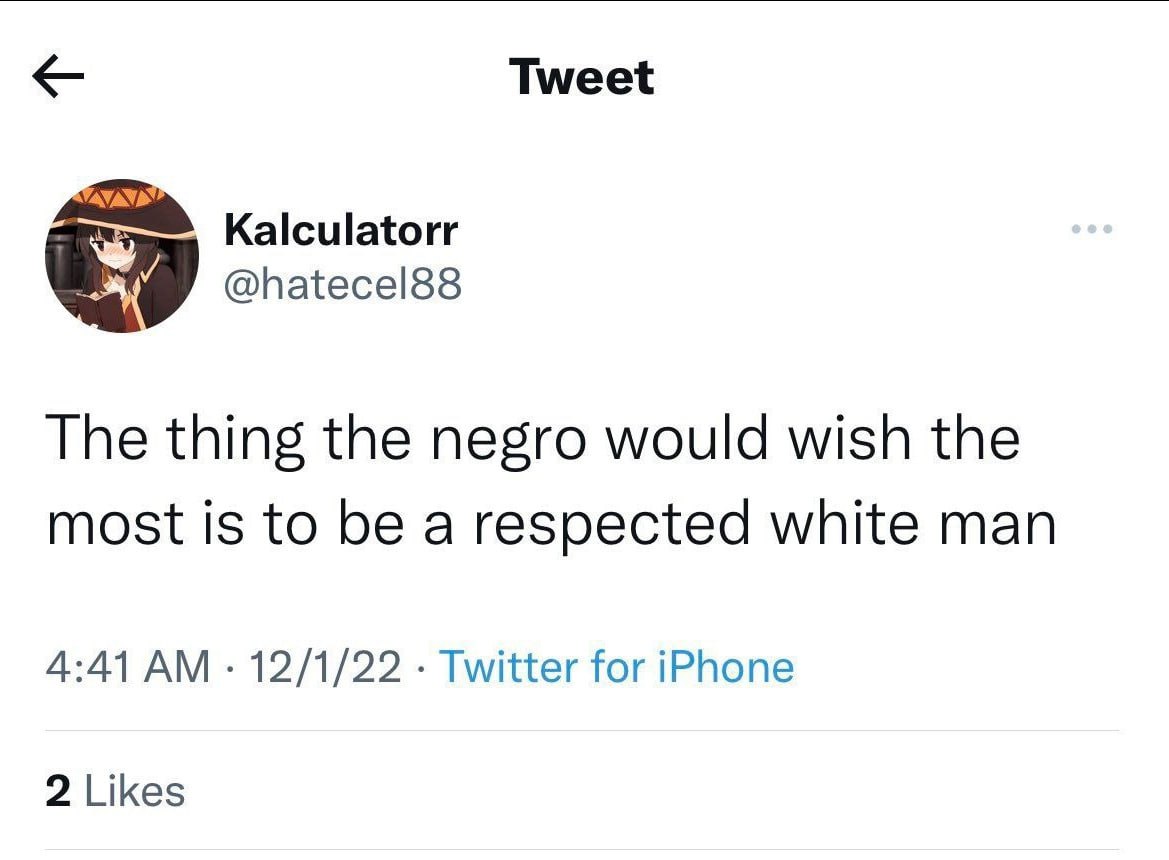 Tweet Kalculatorr @hatecel88 The thing the negro would wish the most is to be a respected white man 4:41 12/1/22 Twitter for iPhone 2 Likes