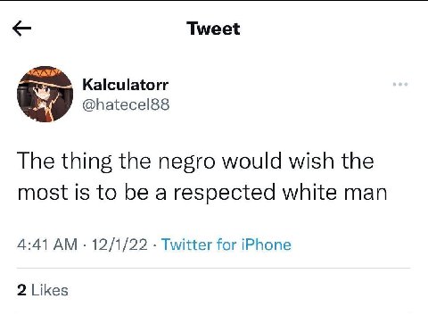Tweet Kalculatorr @hatecel88 The thing the negro would wish the most is to be a respected white man 4:41 12/1/22 Twitter for iPhone 2 Likes