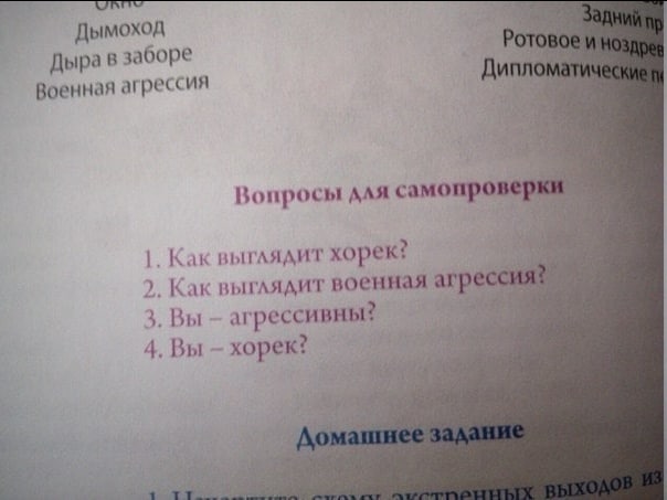 Дымоход Дырав заборе Военная агрессия Диплом Вопросы для самопрове к Как выглядит хорек? 2. Как выглядит военная arp Вы агрессивны? 4. Вы хорек?