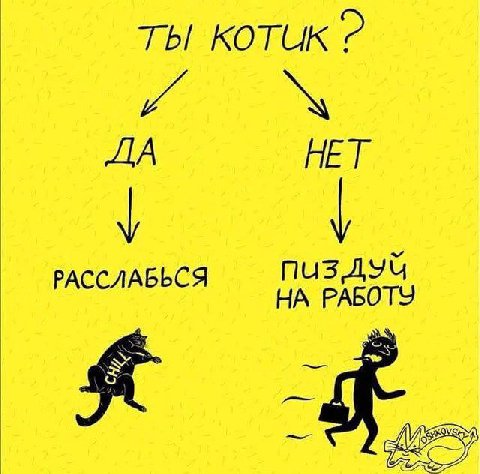 ты котик 2 ДА РАССЛАБЬСЯ НА РАБОТУ