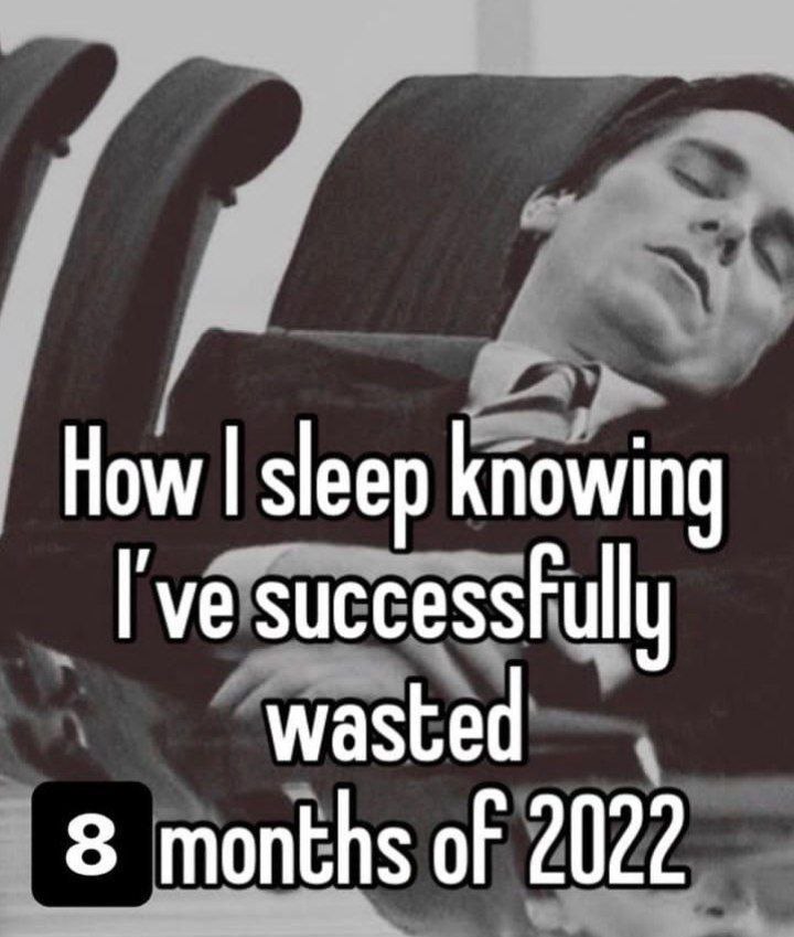 How sleep knowing successfully wasted 8 months of 2022