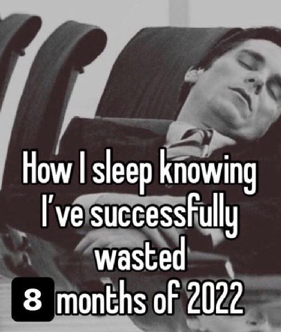 How sleep knowing successfully wasted 8 months of 2022