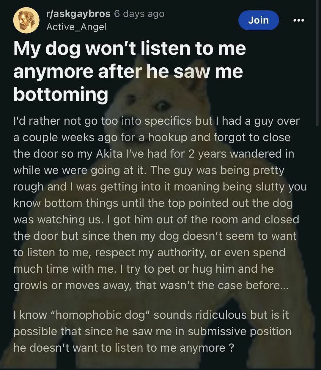 r/askgaybros 6 days ago Join eco Active_Angel My dog won't listen to me anymore after he saw me bottoming rather not too into specifics but had a guy over a couple weeks ago for a hookup and forgot to