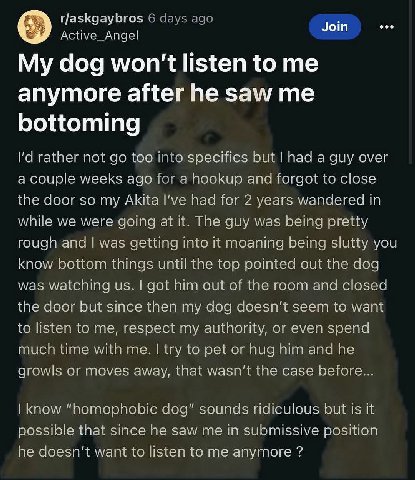 r/askgaybros 6 days ago Join eco Active_Angel My dog won't listen to me anymore after he saw me bottoming rather not too into specifics but had a guy over a couple weeks ago for a hookup and forgot to