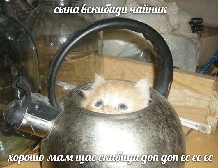 а сына вскидиди чайник хорошо gon gon