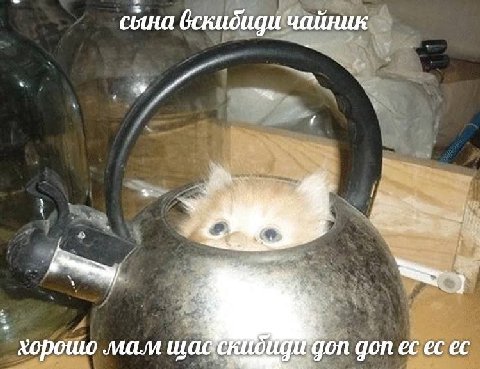 а сына вскидиди чайник хорошо gon gon