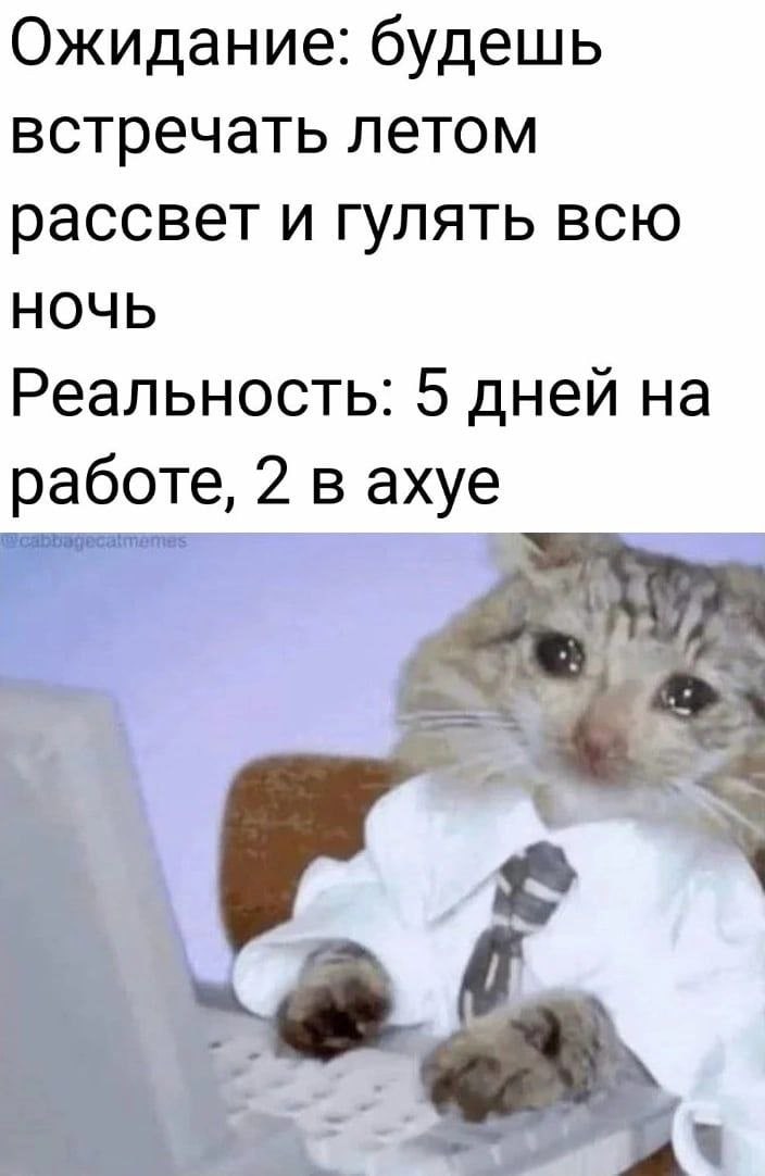 Ожидание: будешь встречать летом рассвет и гулять всю НОЧЬ Реальность: 5 дней на работе, 2 в