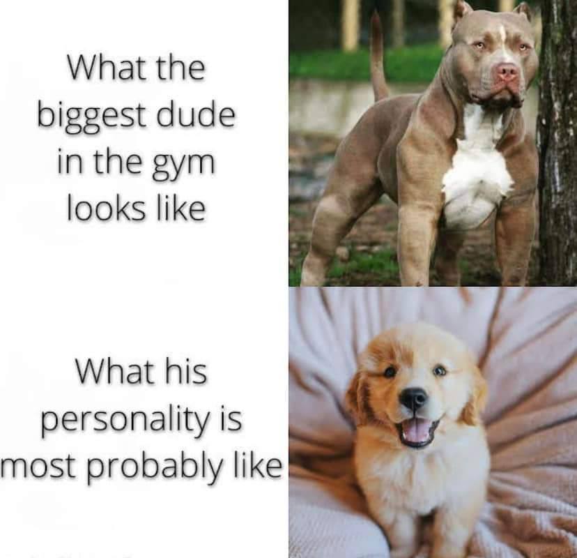 🥺👉👈
