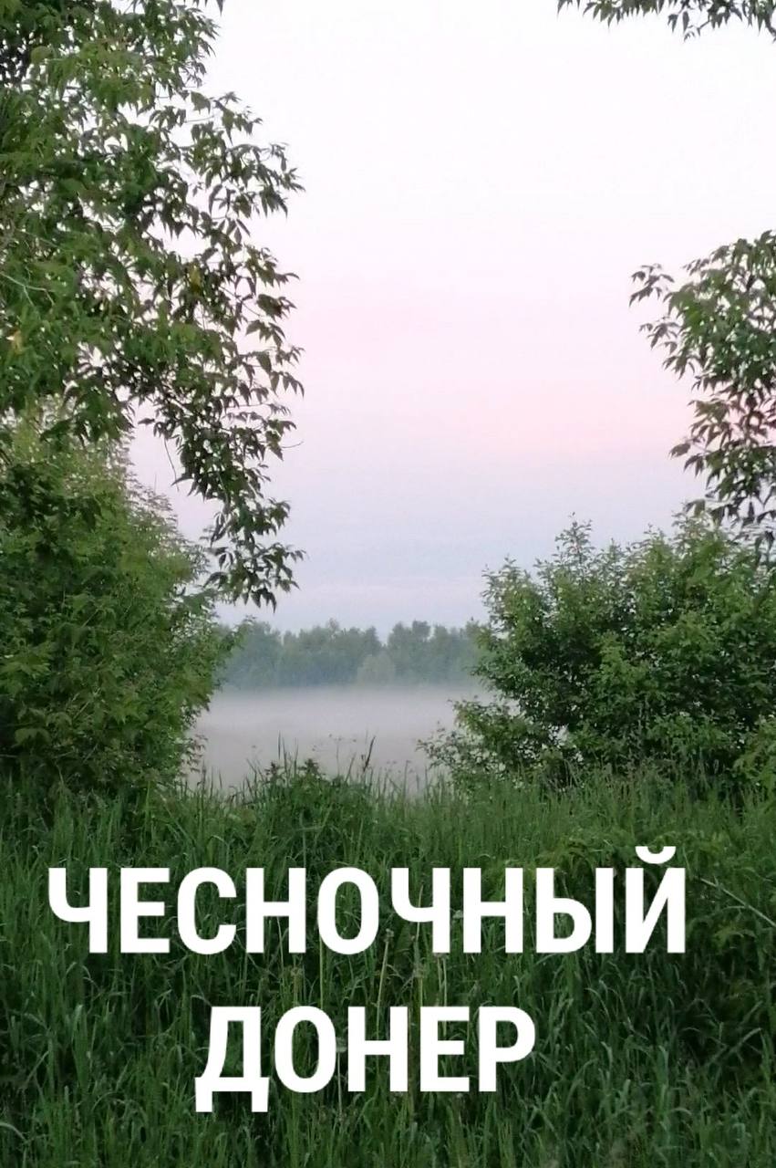 2 at a. a) в “и A a4, ЧЕСНОЧНЫЙ ДОНЕР