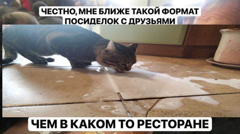 ЧЕСТНО, МНЕ БЛИЖЕ ТАКОЙ ФОРМАТ ПОСИДЕЛОК С ДРУЗЬЯМИ 5 ЧЕМ В КАКОМ ТО РЕСТОРАНЕ