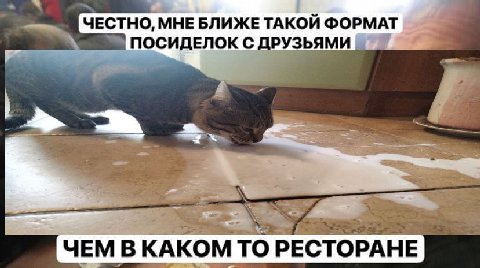 ЧЕСТНО, МНЕ БЛИЖЕ ТАКОЙ ФОРМАТ ПОСИДЕЛОК С ДРУЗЬЯМИ 5 ЧЕМ В КАКОМ ТО РЕСТОРАНЕ