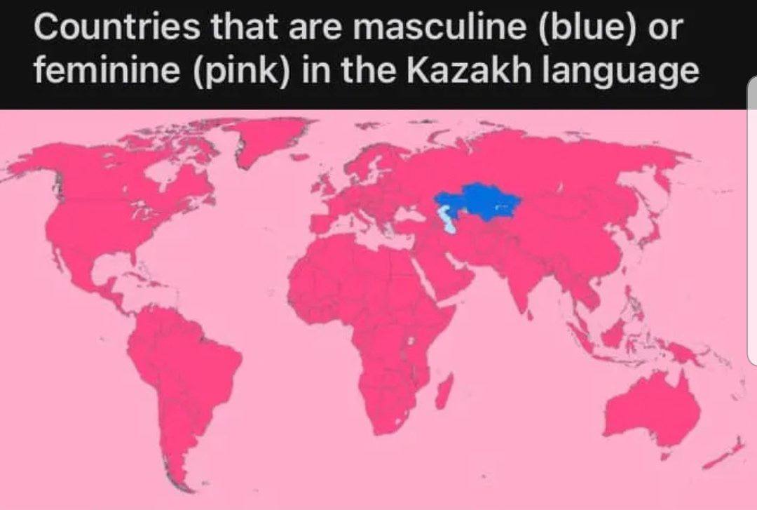 Countries that are masculine (blue) feminine (pink) in the language