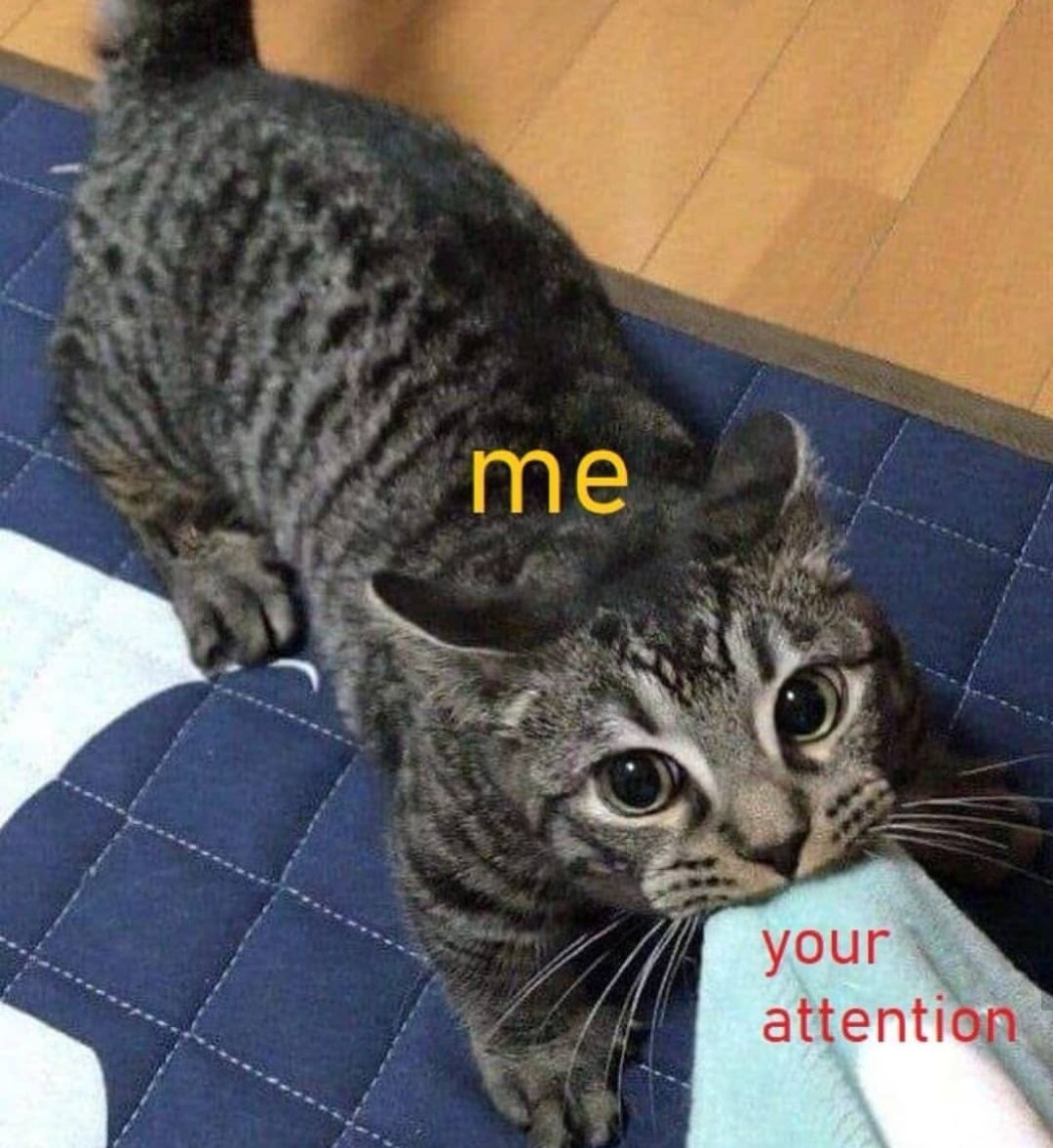 your