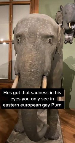 i Hes got that sadness in his eyes you only see in eastern european gay Purn