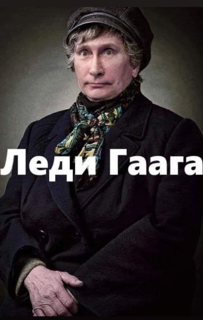 Леди Гаага