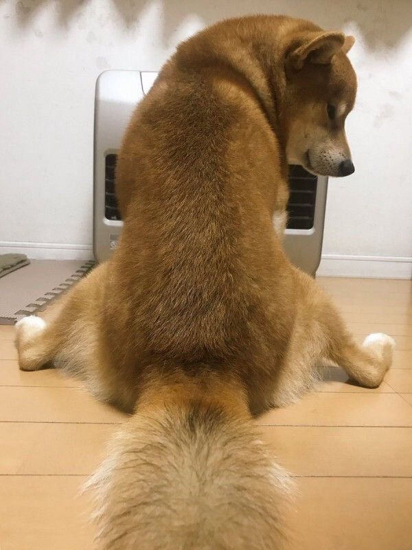 Я i у