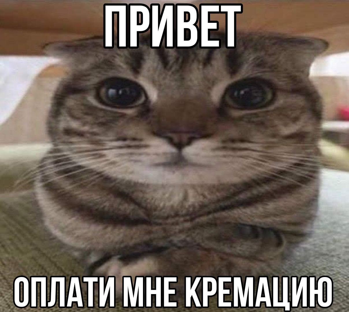 ПРИВЕТ ОПЛАТИ МНЕ КРЕМАЦИЮ